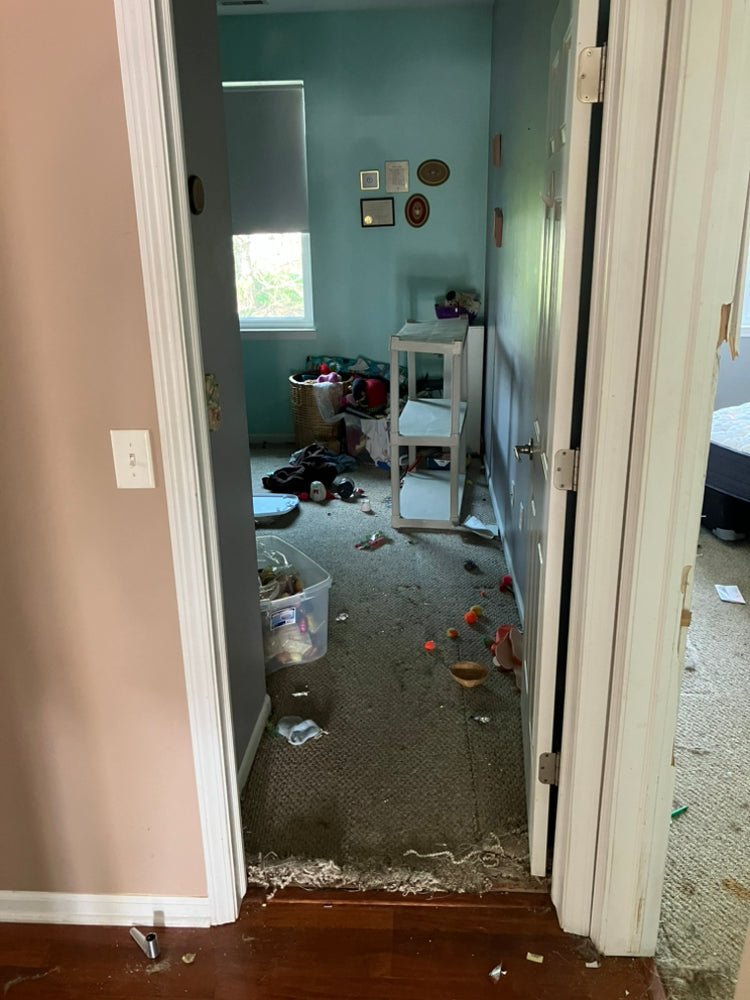 Junk Removal Quote NWI - Estimate - Residential Junk Removal Quote