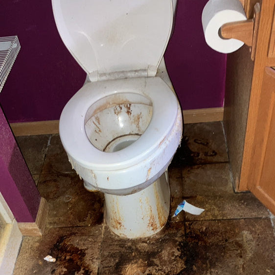 Hoarding cleanup and property A severely dirty bathroom in Northwest Indiana requiring professional biohazard cleanup by Patriot Clean Out Services. The image reflects safe, certified sanitation and property restoration performed by a veteran-owned cleanup team.